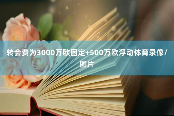 转会费为3000万欧固定+500万欧浮动体育录像/图片