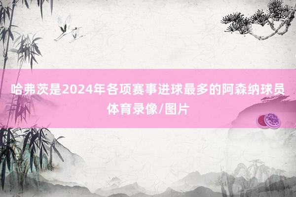 哈弗茨是2024年各项赛事进球最多的阿森纳球员体育录像/图片