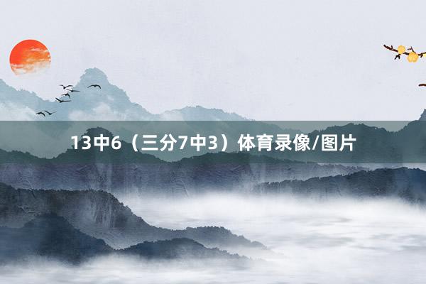 13中6（三分7中3）体育录像/图片