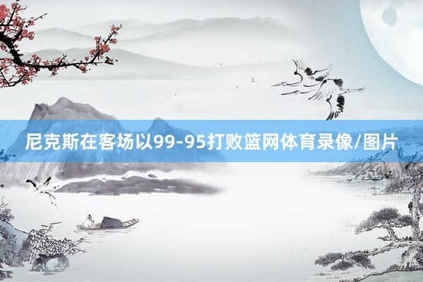 尼克斯在客场以99-95打败篮网体育录像/图片