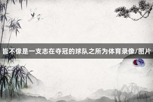 皆不像是一支志在夺冠的球队之所为体育录像/图片