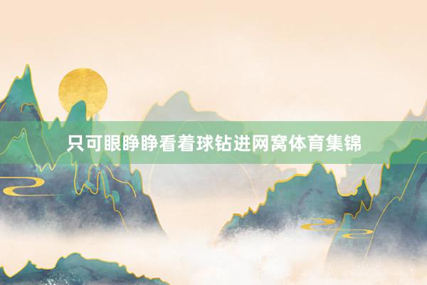 只可眼睁睁看着球钻进网窝体育集锦