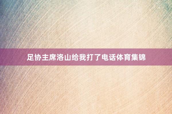 足协主席洛山给我打了电话体育集锦
