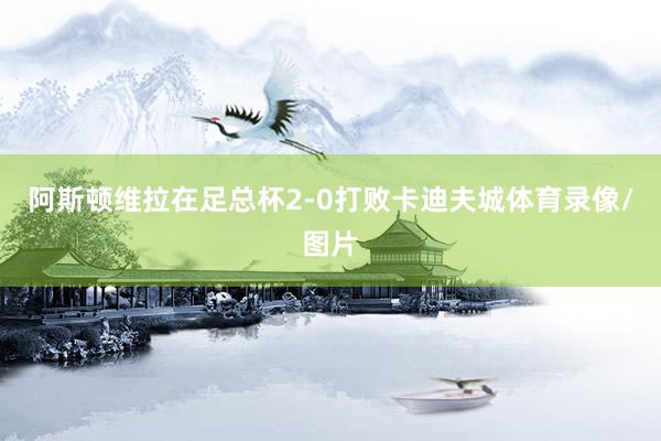 阿斯顿维拉在足总杯2-0打败卡迪夫城体育录像/图片