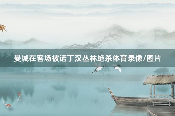 曼城在客场被诺丁汉丛林绝杀体育录像/图片