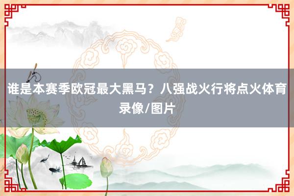 谁是本赛季欧冠最大黑马？八强战火行将点火体育录像/图片