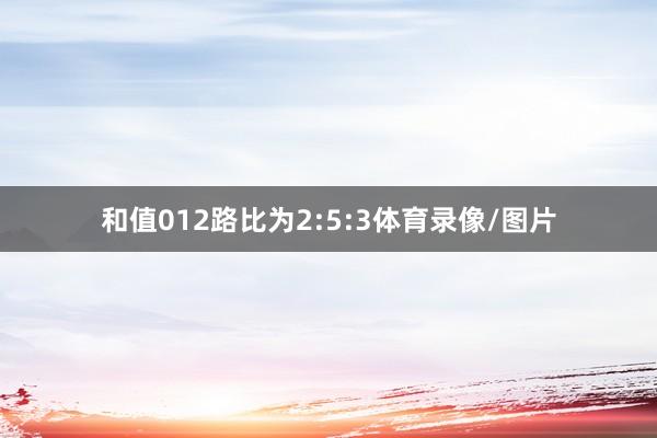 和值012路比为2:5:3体育录像/图片