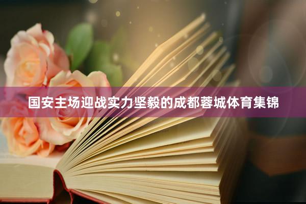 国安主场迎战实力坚毅的成都蓉城体育集锦