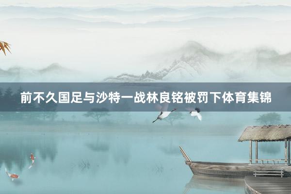 前不久国足与沙特一战林良铭被罚下体育集锦