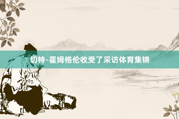 切特-霍姆格伦收受了采访体育集锦