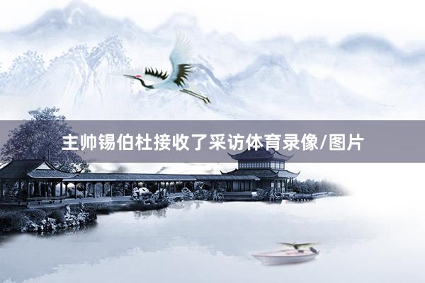 主帅锡伯杜接收了采访体育录像/图片