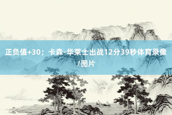 正负值+30;卡森-华莱士出战12分39秒体育录像/图片