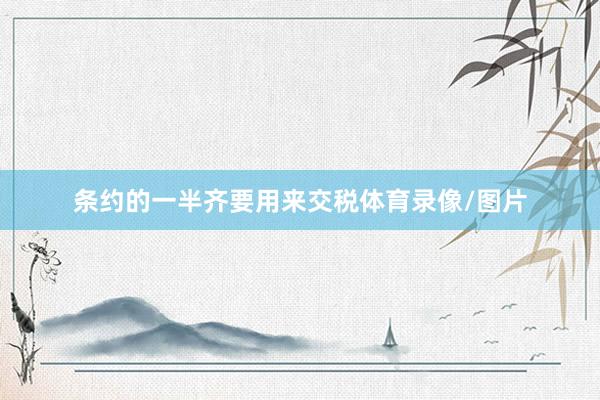 条约的一半齐要用来交税体育录像/图片
