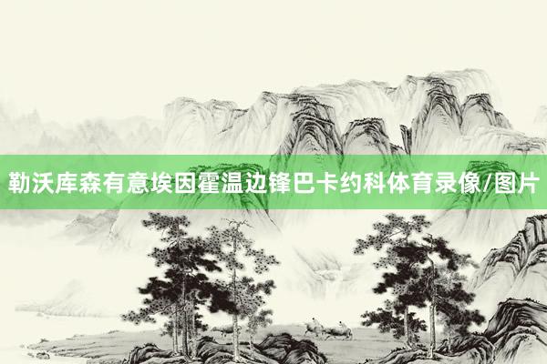 勒沃库森有意埃因霍温边锋巴卡约科体育录像/图片