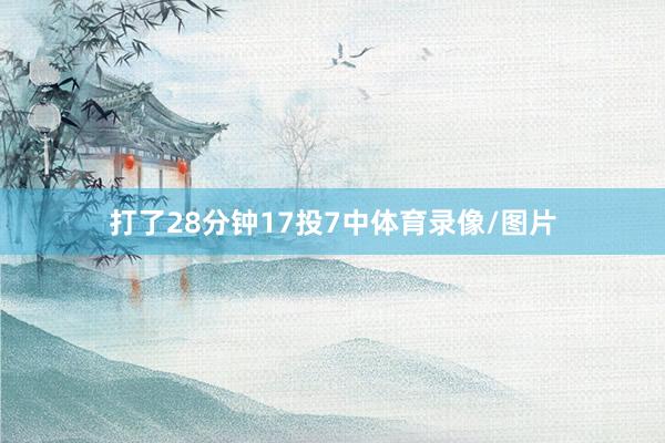 打了28分钟17投7中体育录像/图片