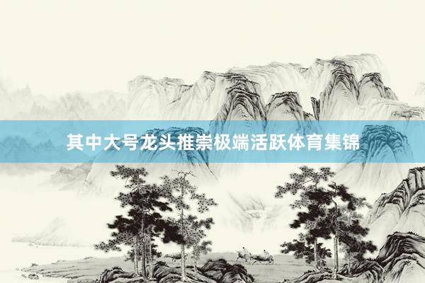 其中大号龙头推崇极端活跃体育集锦