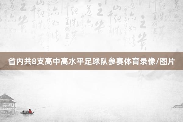 省内共8支高中高水平足球队参赛体育录像/图片