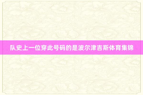 队史上一位穿此号码的是波尔津吉斯体育集锦