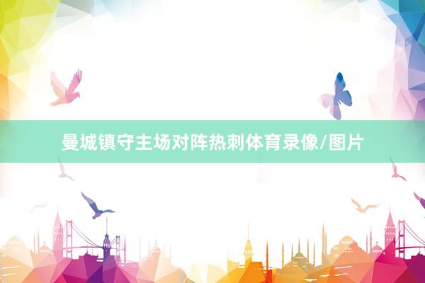 曼城镇守主场对阵热刺体育录像/图片
