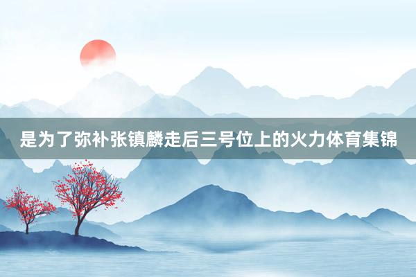 是为了弥补张镇麟走后三号位上的火力体育集锦