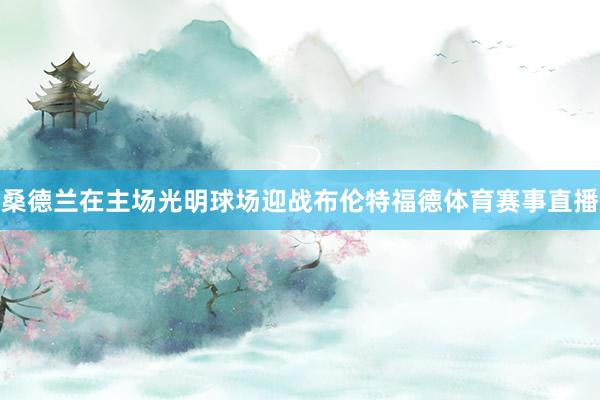 桑德兰在主场光明球场迎战布伦特福德体育赛事直播