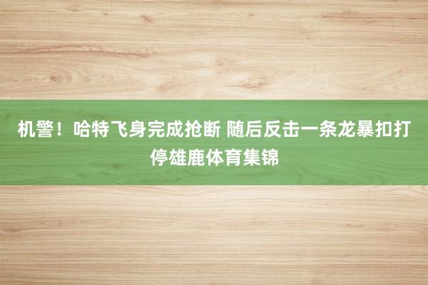机警！哈特飞身完成抢断 随后反击一条龙暴扣打停雄鹿体育集锦