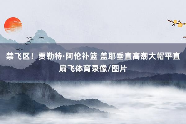 禁飞区！贾勒特·阿伦补篮 盖耶垂直高潮大帽平直扇飞体育录像/图片