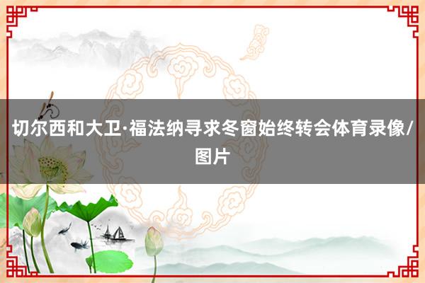 切尔西和大卫·福法纳寻求冬窗始终转会体育录像/图片