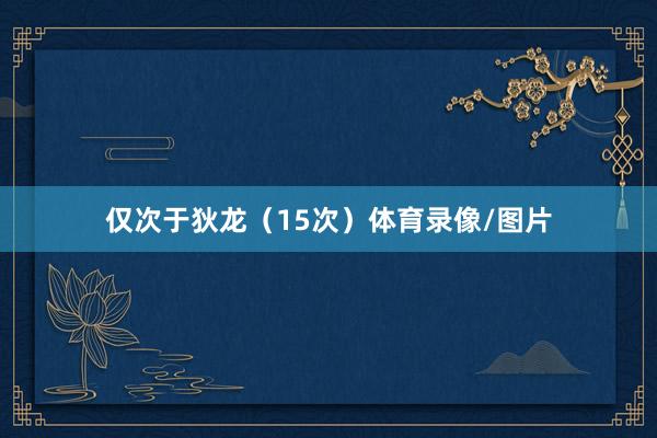 仅次于狄龙（15次）体育录像/图片