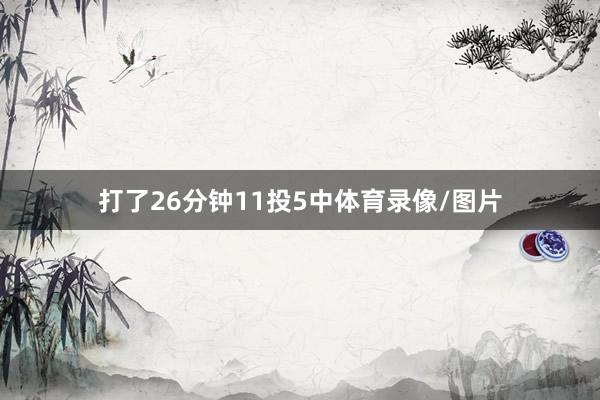 打了26分钟11投5中体育录像/图片