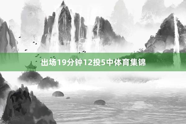出场19分钟12投5中体育集锦