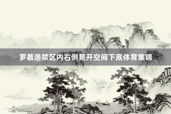 罗慕洛禁区内右侧晃开空间下底体育集锦