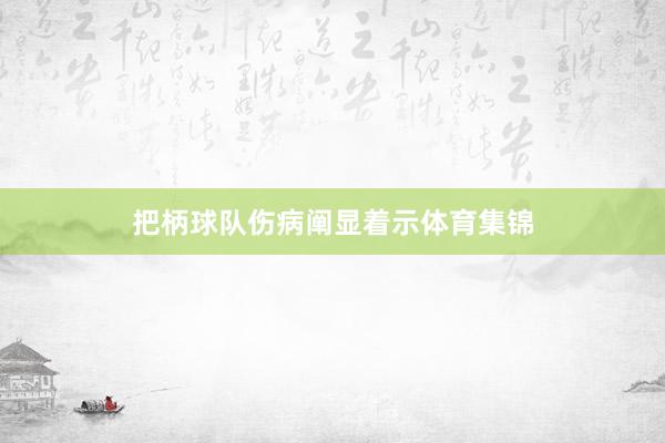 把柄球队伤病阐显着示体育集锦