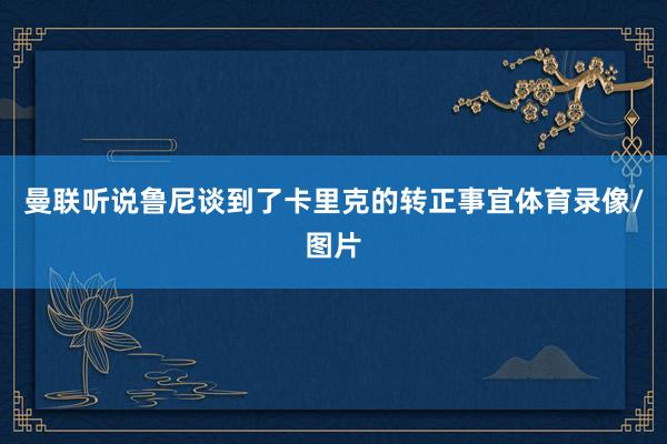 曼联听说鲁尼谈到了卡里克的转正事宜体育录像/图片