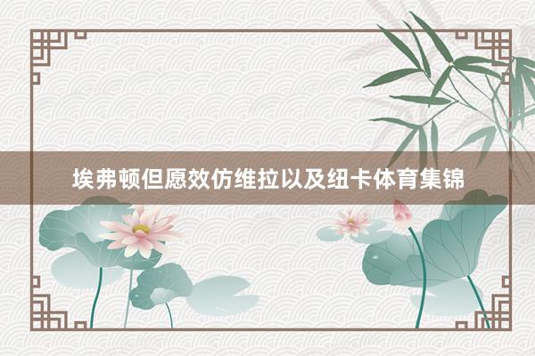 埃弗顿但愿效仿维拉以及纽卡体育集锦
