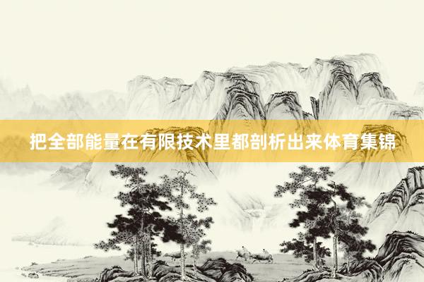 把全部能量在有限技术里都剖析出来体育集锦