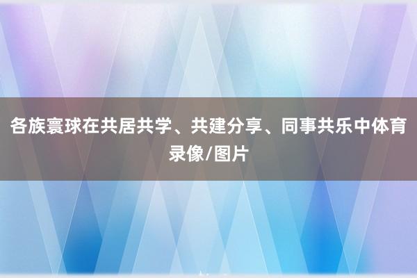 各族寰球在共居共学、共建分享、同事共乐中体育录像/图片