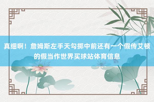 真细啊！詹姆斯左手天勾掷中前还有一个假传艾顿的假当作世界买球站体育信息