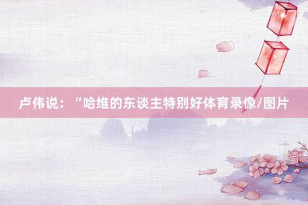 卢伟说：“哈维的东谈主特别好体育录像/图片