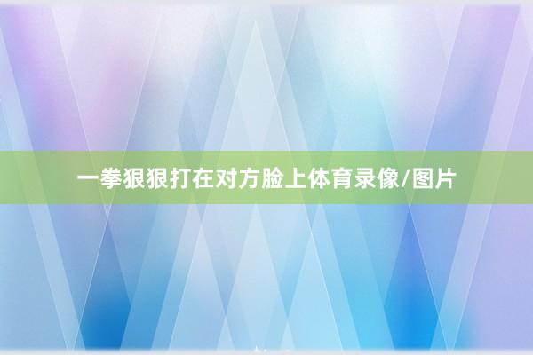 一拳狠狠打在对方脸上体育录像/图片