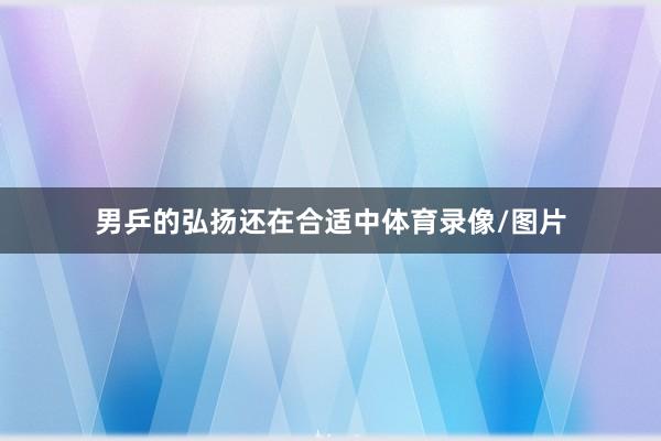 男乒的弘扬还在合适中体育录像/图片