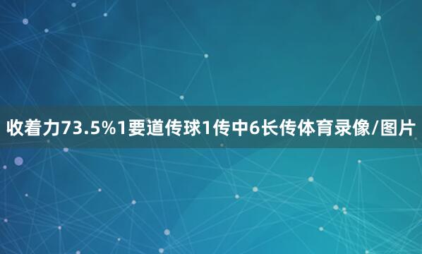 收着力73.5%1要道传球1传中6长传体育录像/图片