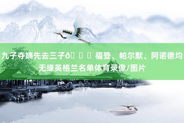 九子夺嫡先去三子👀福登、帕尔默、阿诺德均无缘英格兰名单体育录像/图片