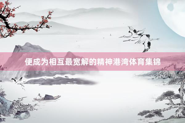 便成为相互最宽解的精神港湾体育集锦