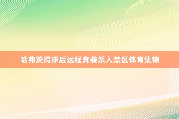 哈弗茨得球后远程奔袭杀入禁区体育集锦
