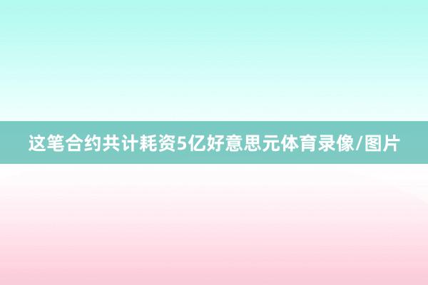 这笔合约共计耗资5亿好意思元体育录像/图片
