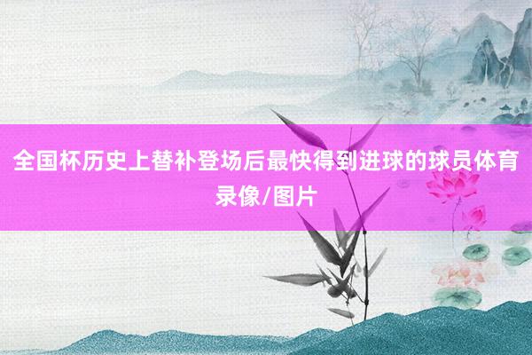 全国杯历史上替补登场后最快得到进球的球员体育录像/图片