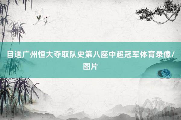 目送广州恒大夺取队史第八座中超冠军体育录像/图片